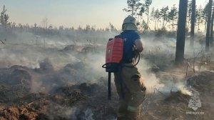 Лесной пожар в Тольятти
