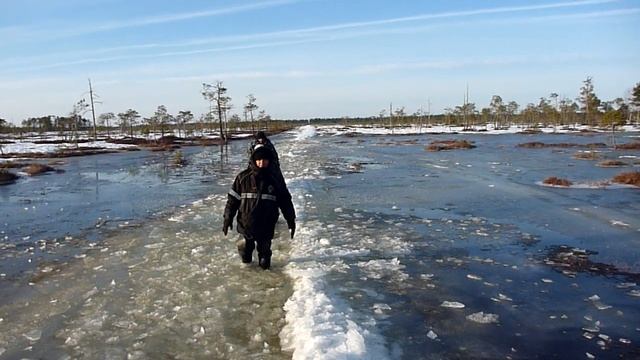 Болото весной смотреть онлайн