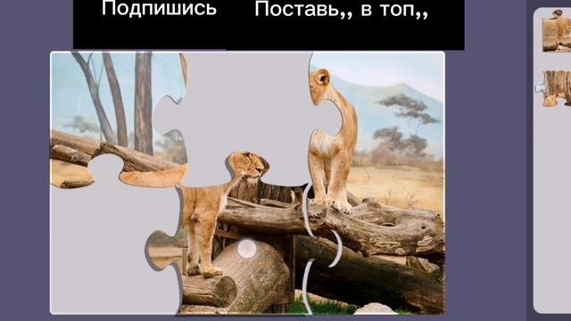 Пазлы! 1 часть*