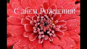 С ДНЁМ РОЖДЕНИЯ ВИКА!