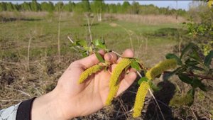 Выбираем кочевой точок, вывезли пчел на первую кочевку в 2022 году, Пасека Старчевских