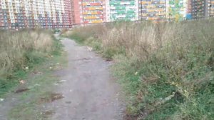 Экологическая ситуация в поселке Мирный. ЖК Томилино Парк.