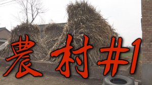 ㅑ25ㅕВ гостях у крестьян в китайской деревне. Ч.1