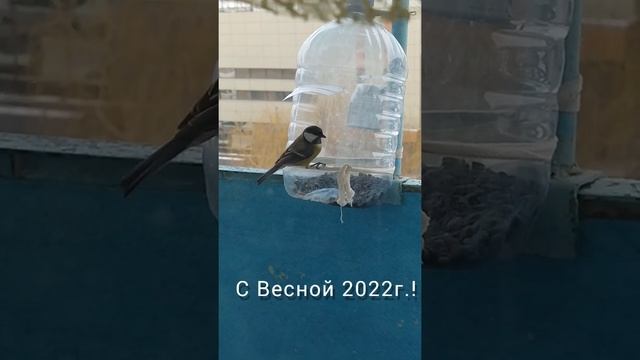 9 марта 2022 г.