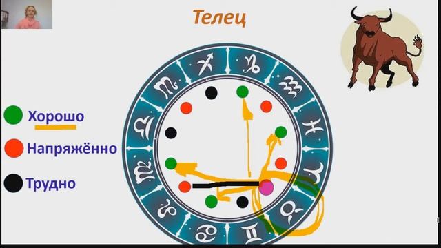 Совместимость знаков Телец
