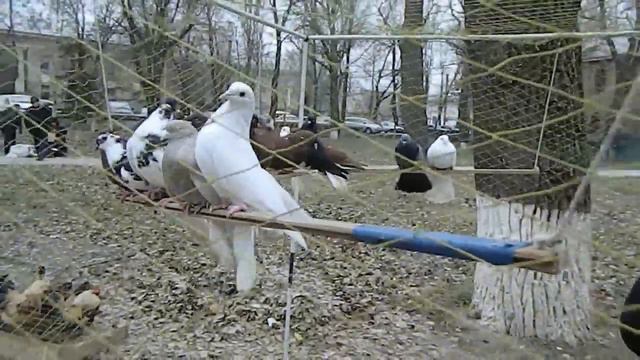 Луганск03 12 22 смотреть онлайн