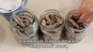Маринованные ВЕШЕНКИ. Проверенный рецепт! Заготавливаем на зиму.