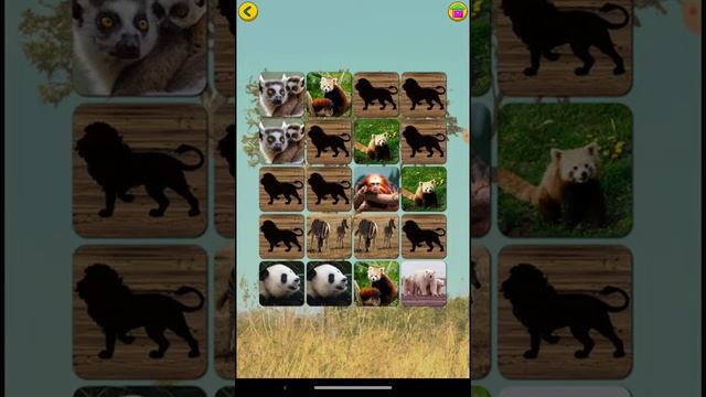 Память животных смотреть онлайн