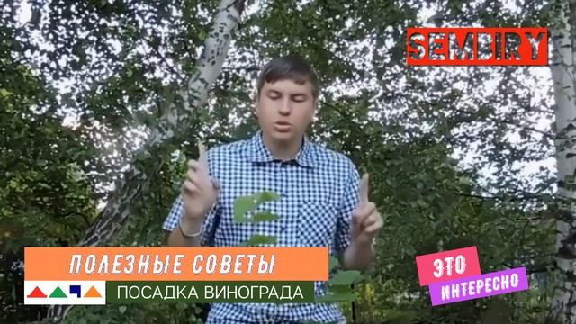 ДЫНЯ: НЕИЗВЕСТНЫЕ ФАКТЫ. КАК И ГДЕ САЖАТЬ ВИНОГРАД? ШОУ ДАЧА. Выпуск от 30.04.2023 смотреть онлайн