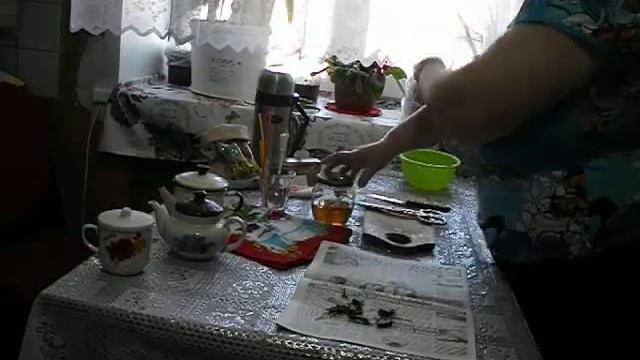 Фито дневник корни шиповника смотреть онлайн