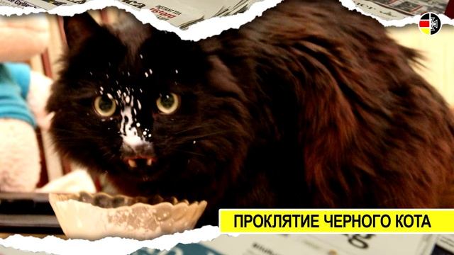Популярные немецкие суеверия. Удивительная Германия