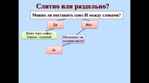 Слитное и дефисное написание сложных прилагательных 6 класс | #твшкола5+