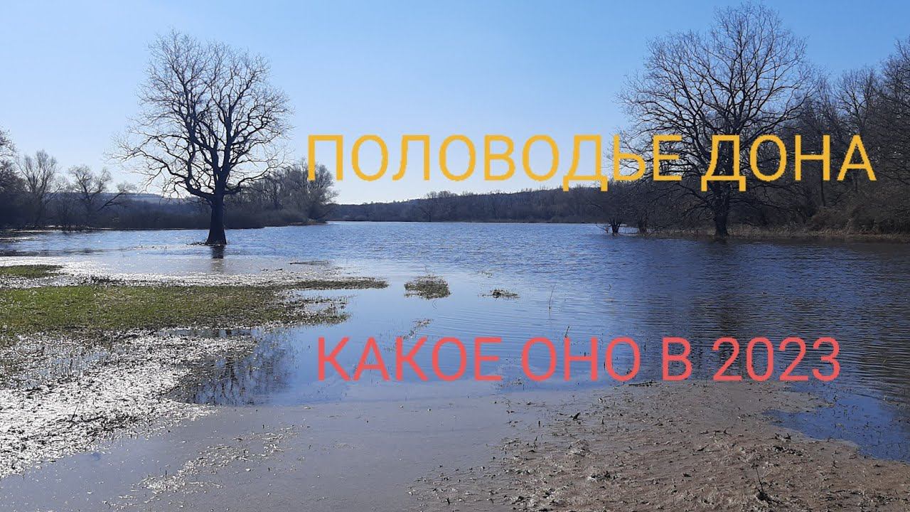 ПОЛОВОДЬЕ ДОНА 2023. КАКОЕ ОНО? смотреть онлайн