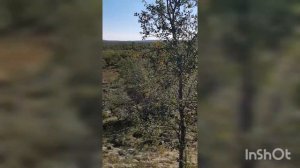 Нашёл реактивный снаряд на старых немецких позициях. Кольский. Западная Лица.
