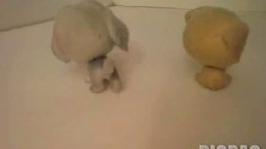 Танец маленьких щенят