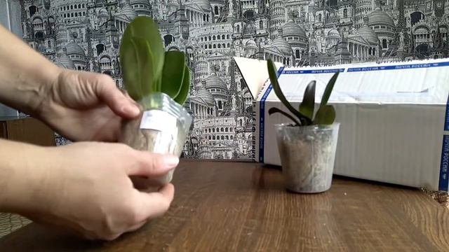 Мечты сбываются!!! Распаковка посылки из альбома №5 смотреть онлайн