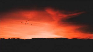 Bestami Turna - Dreamland (Original Mix)