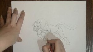 КАК НАРИСОВАТЬ ПАНТЕРУ!\HOW TO DRAW A PANTHER EASY!\