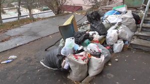 Геннадий Горин обзор на мусор.Видео репортаж про мусор возле дома