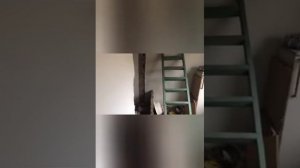 Фонд "Добрые Сердца Казахстана" в действии.