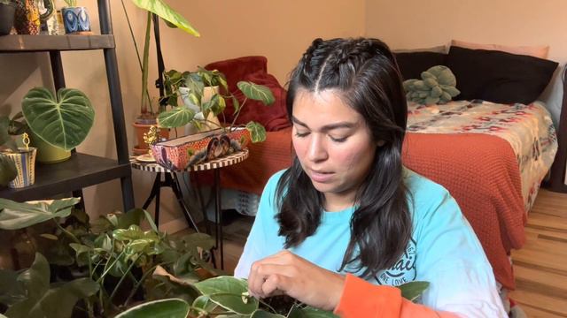 Let Me Show You My Favorites! смотреть онлайн