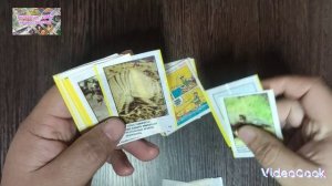 #22 Распаковка приобретенного коллекционного материала. Вкладыши Турбо фиолет, Сафари, Флинстоуны