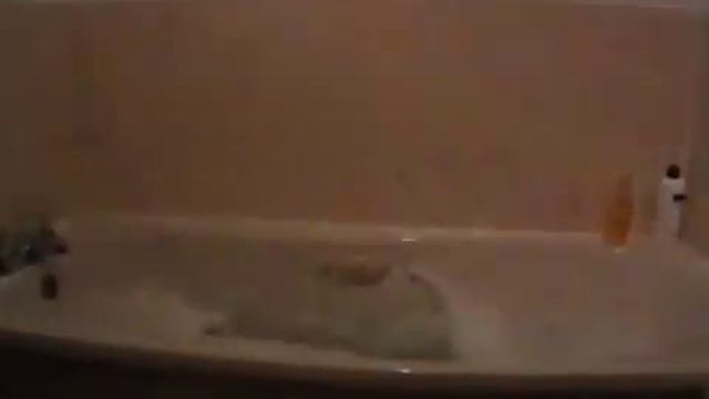 Nikon Coolpix S9050 Splash 240fps смотреть онлайн