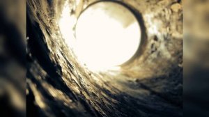 Глава 51. Дура бестолковая