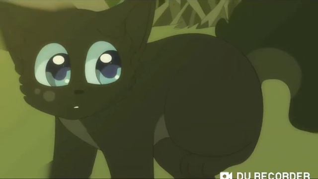 ♡{Клип} Пепелица и Огнезвёзд•||• Я люблю тебя давно•||• Чек. Описание•||•Коты-Воители♡ смотреть онлайн