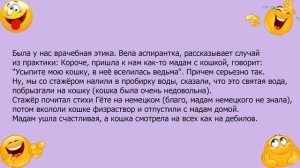 Анекдот про случай из ветеринарной практики