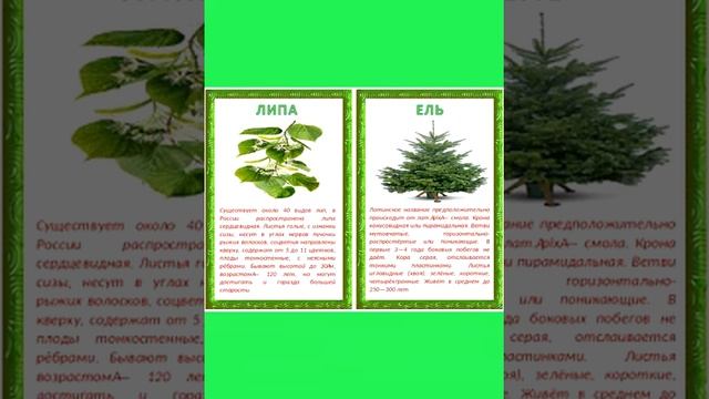 Знай и люби природу родного края, воспитатель Эпатова Е.Н. смотреть онлайн