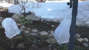 Троице-Сыпанов Пахомиево-Нерехтский монастырь