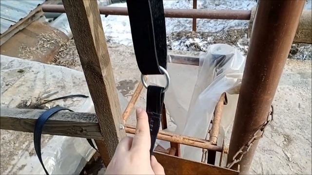 Казачий недоуздок для лошади из сыромятной кожи смотреть онлайн