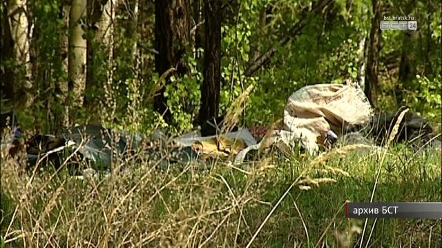 Губернатор Иркутской области Игорь Кобзев: необходимо нарастить объёмы лесовосстановления
