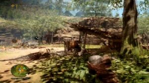 Far Cry:Primal►Захват деревни►4