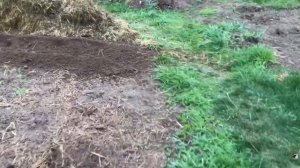 Насадка - культиватор на триммер (бензокосу).