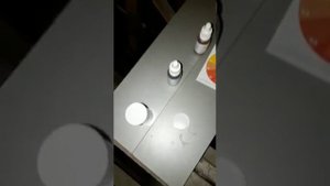 Разведение раков дома