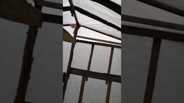 Подготовил необычный парник к сезону.