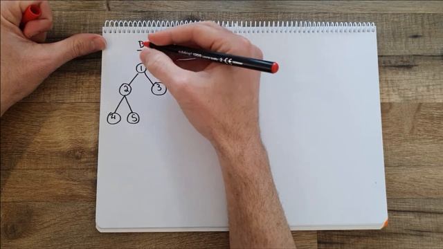 Search algorithms: Linear Search, Binary Search, Depth First Search and Breadth First Search
