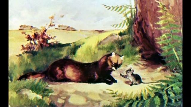 СКАЗКА ОБ УМНОМ МЫШОНКЕ С.Я. Маршак