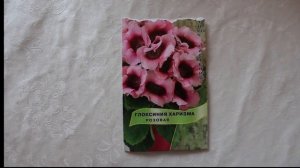 Многолетние цветы. Посев на рассаду в феврале.