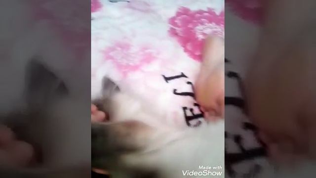 Раньше Бусе камера нравилось А сейчас не нравится