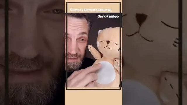 Видео обзор котенка Shema с ermishin_dima смотреть онлайн