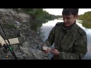 Наловил карася, на фидер, в Добринке, на хопре, сомик попался на донку с подводным поплавком