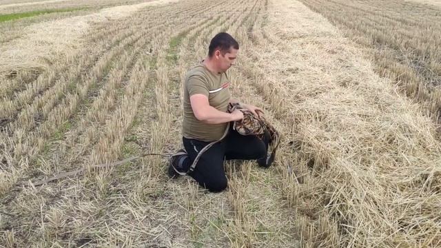 ЛУЧШАЯ ЗАСИДКА НА РЫНКЕ ОТ КОМПАНИИ SEVEN BIRDS!!!