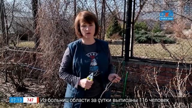 Сюжет «Первые работы в весеннем саду» смотреть онлайн