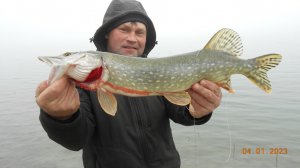 Щука на живца.2023.