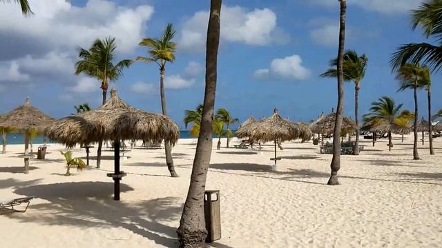 Manchebo Beach Aruba Resort Tour смотреть онлайн