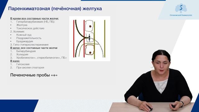 Типовые формы патологии печени. Печеночная недостаточность. Желтуха.
