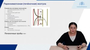 Типовые формы патологии печени. Печеночная недостаточность. Желтуха.